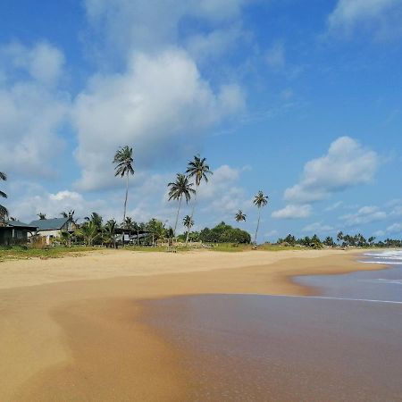 Afro Beach Eco Resort Butre Екстер'єр фото