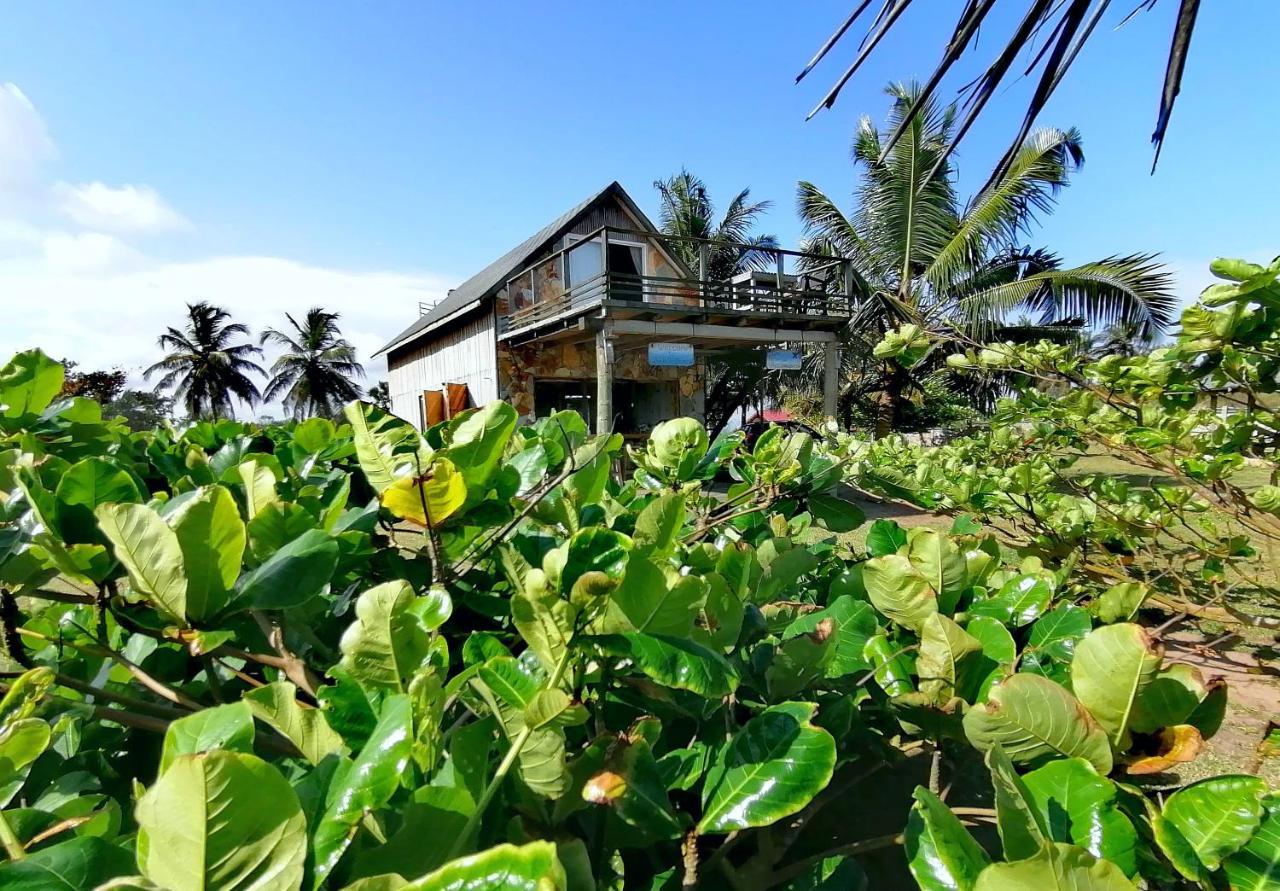 Afro Beach Eco Resort Butre Екстер'єр фото