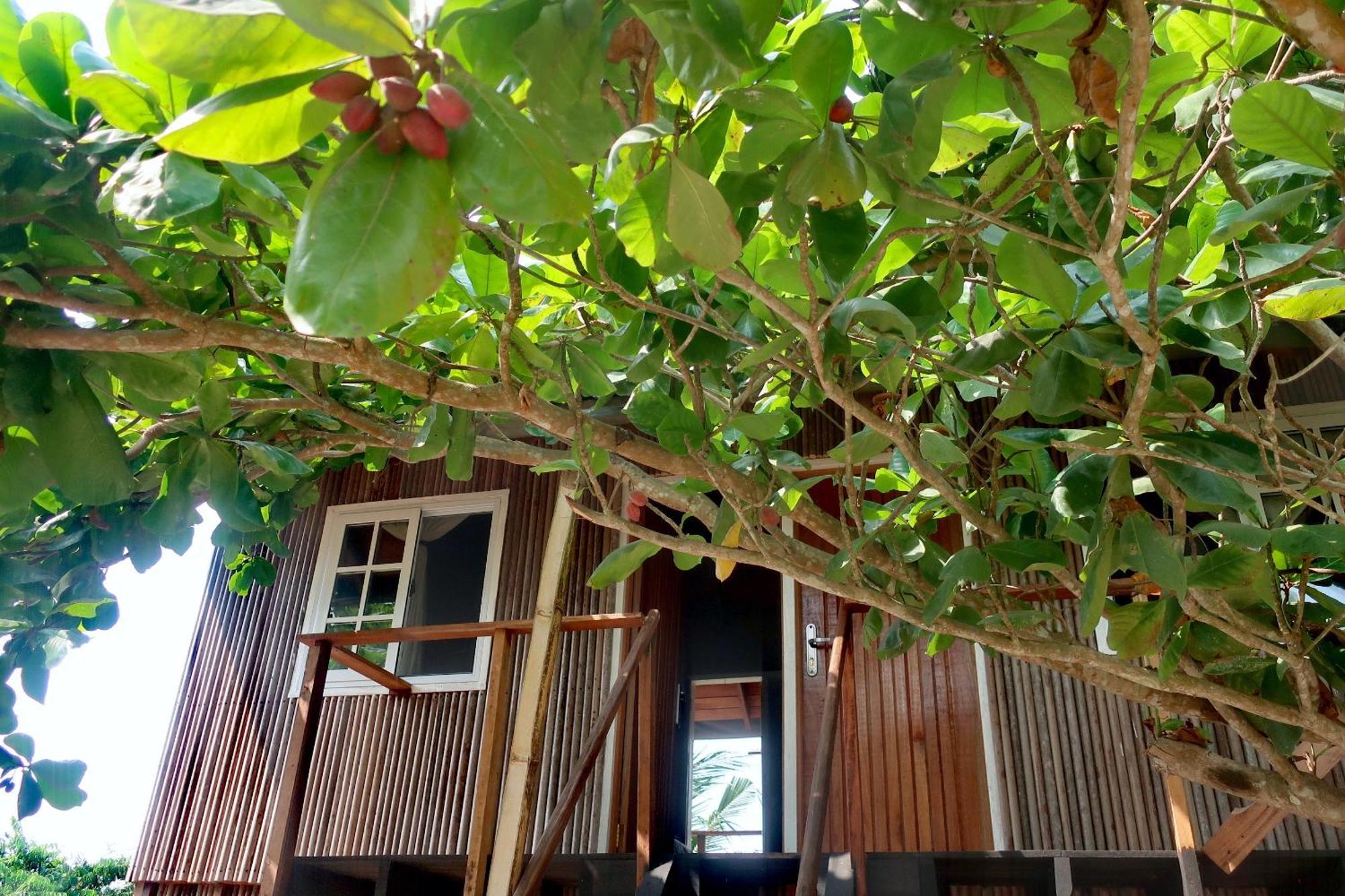 Afro Beach Eco Resort Butre Номер фото